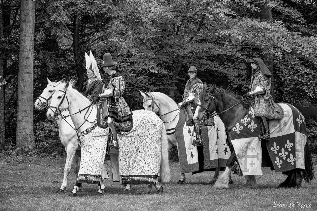 Fête Médiéval du Château d'Harcourt - 2019