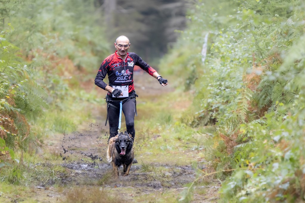Canicross  - Forêt de Nassandres (27) - 2024 - Ivan Le Roux Photographe canin