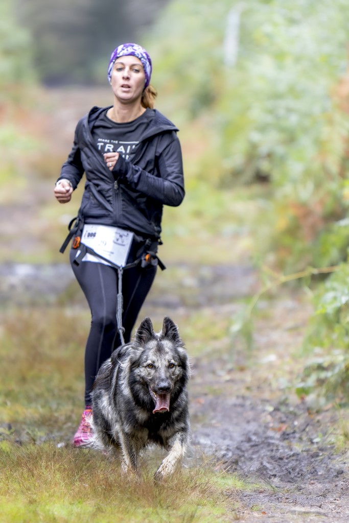 Canicross  - Forêt de Nassandres (27) - 2024 - Ivan Le Roux Photographie