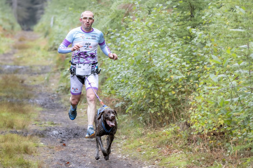 Canicross  - Forêt de Nassandres (27) - 2024 Ivan le roux sport canin