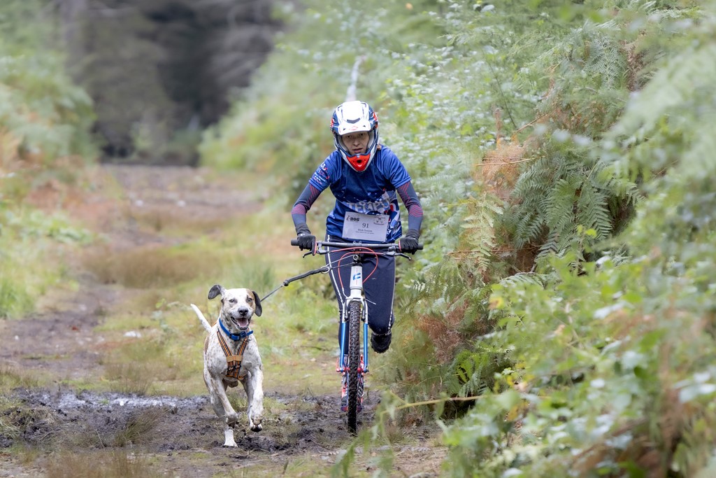 Cani Trottinette  - Forêt de Nassandres (27) - 2024 - Ivan Le Roux Photographie