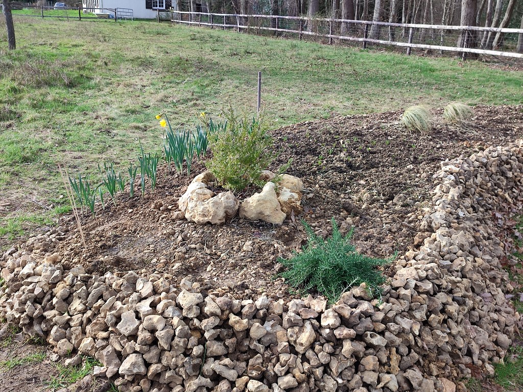Début des plantations Ivan Le Roux  Photographe 