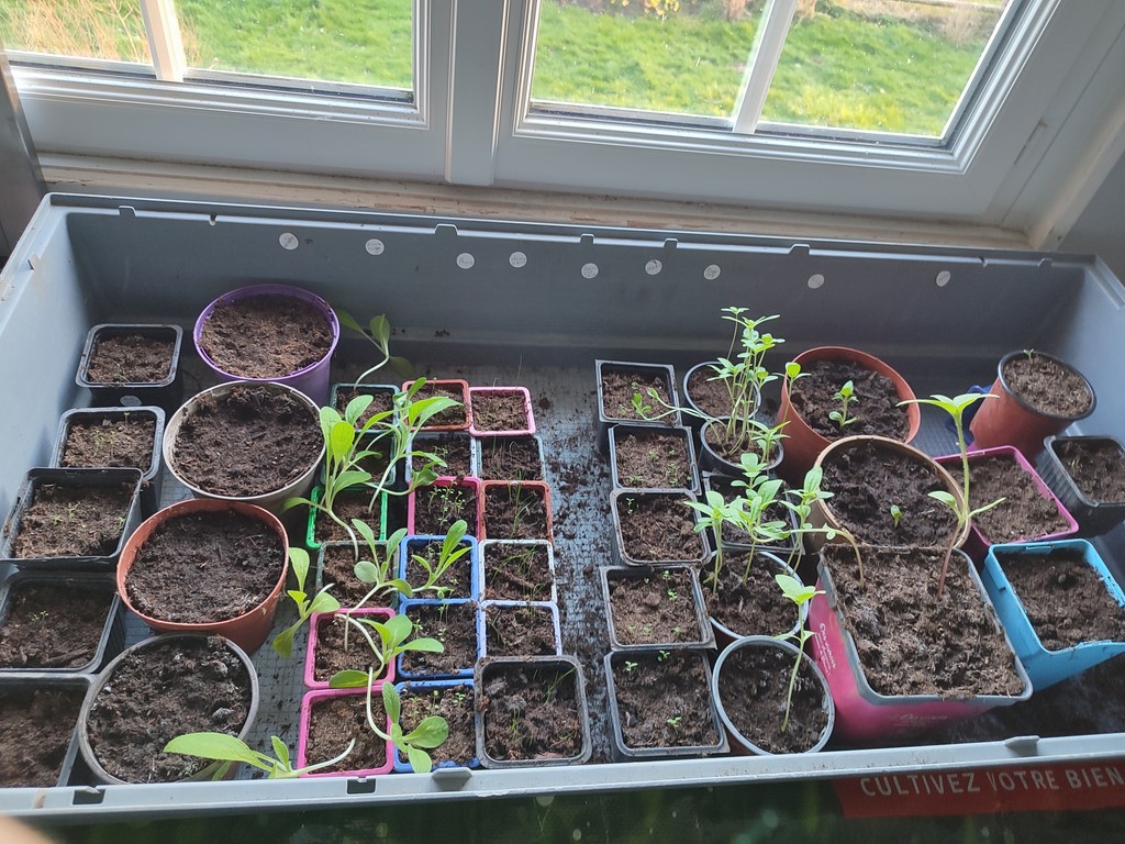 Futures plantations drink station Ivan Le Roux