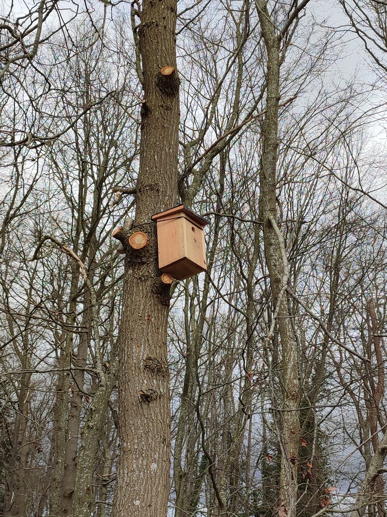 Mise en place des Nichoirs Romilly-la-Puthenaye Ivan Le Roux