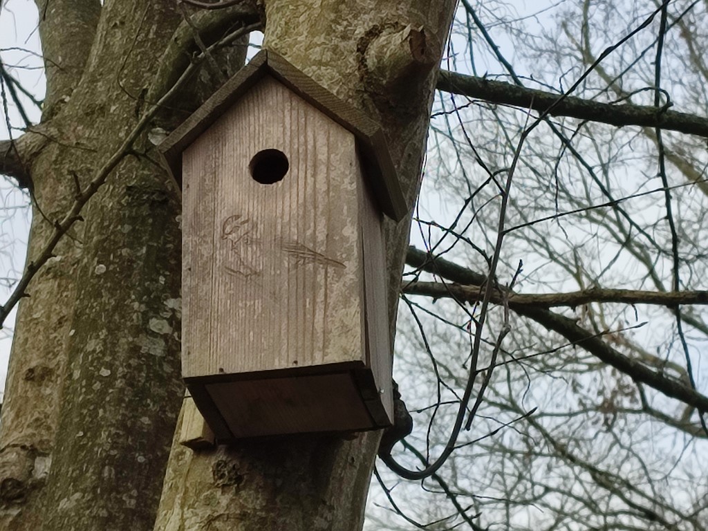 Nichoir pour mésanges Romilly Ivan Le Roux