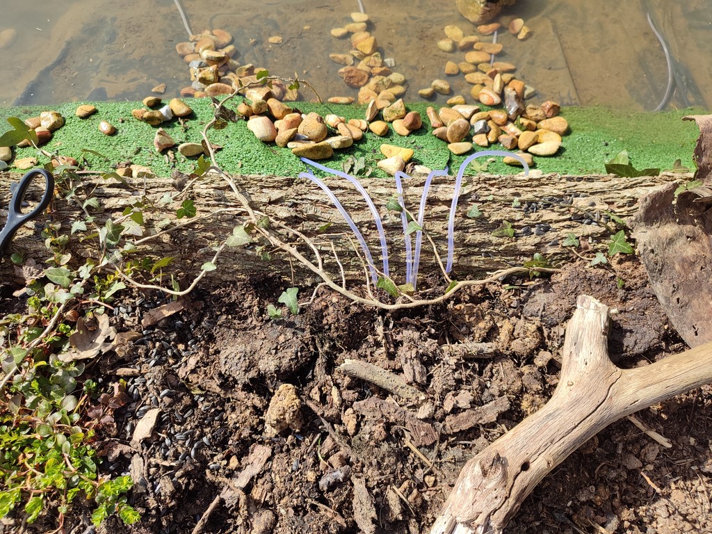 Camouflage de l'aérateur et des conduits d'air Ivan Le Roux Normandie photographie