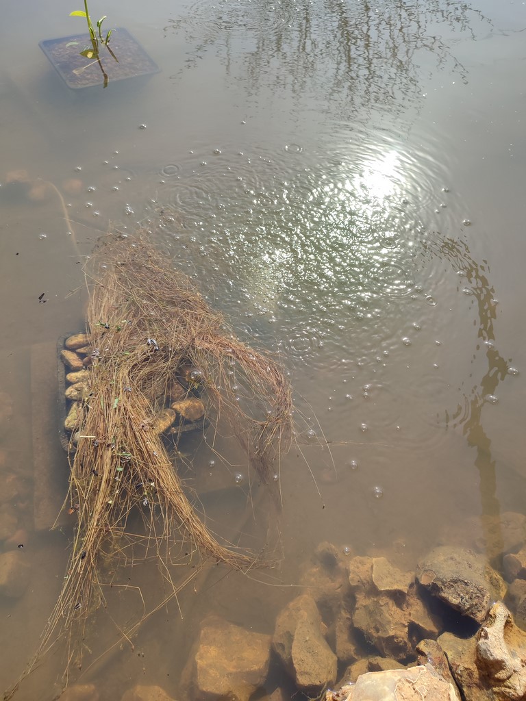 Aujourd'hui ça bulle ! Ivan Le Roux Photographie