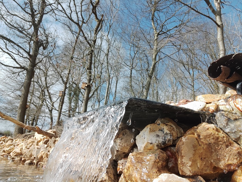Mise en place de la pompe, du filtre et de la mini cascade Ivan Le Roux Normandie