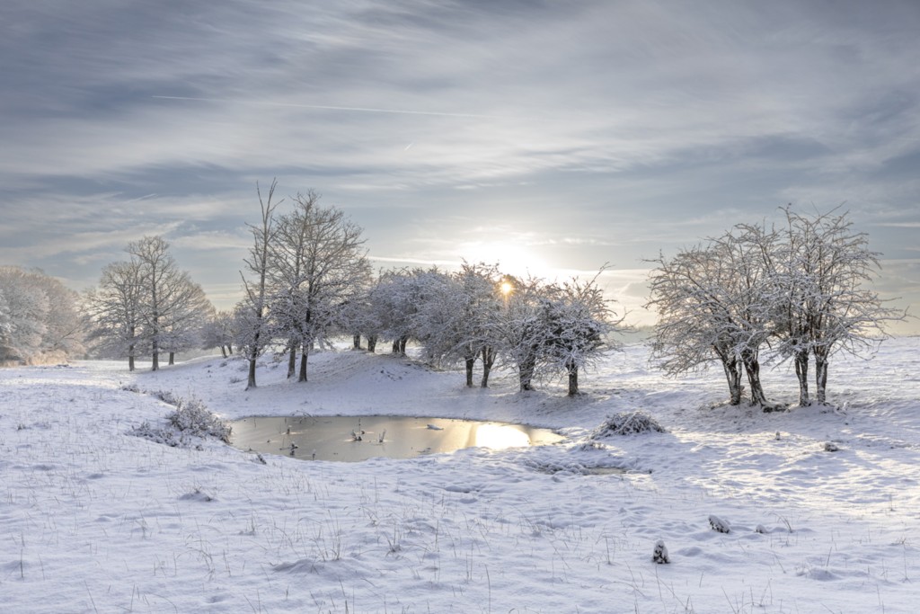 Romilly-la-Puthenaye Sélection concours Festiphoto 2025