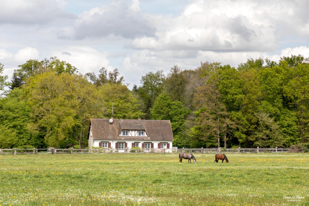 Romilly-La-Puthenaye (27) - 2024 - la Noé de Bougy