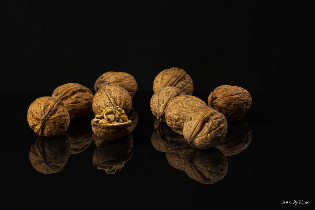 Les noix - Ivan Le Roux
