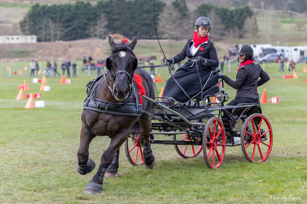 National d'Attelage d'Evreux - 2019