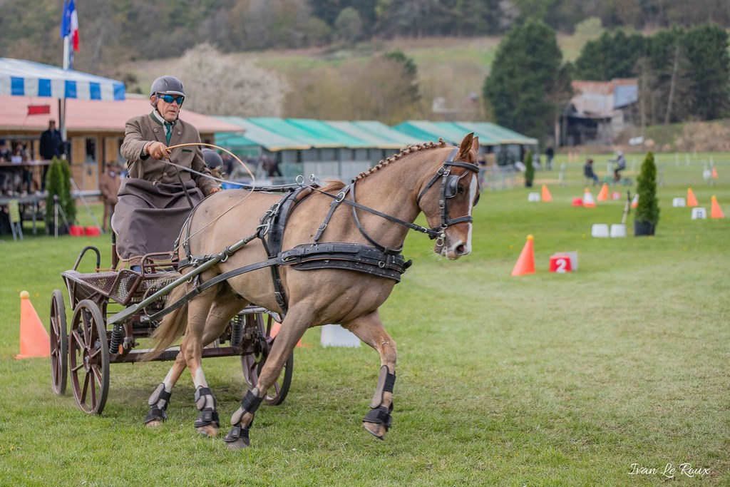 National d'Attelage d'Evreux - 2019