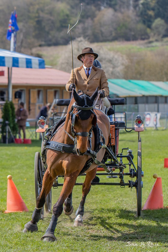 National d'Attelage d'Evreux - 2019
