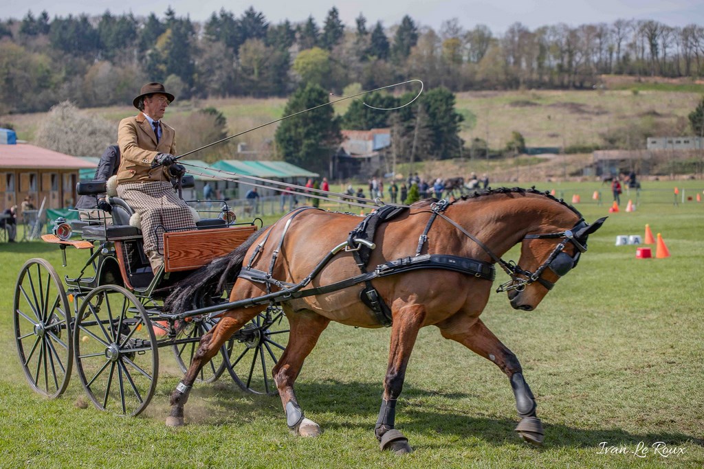 National d'Attelage d'Evreux - 2019