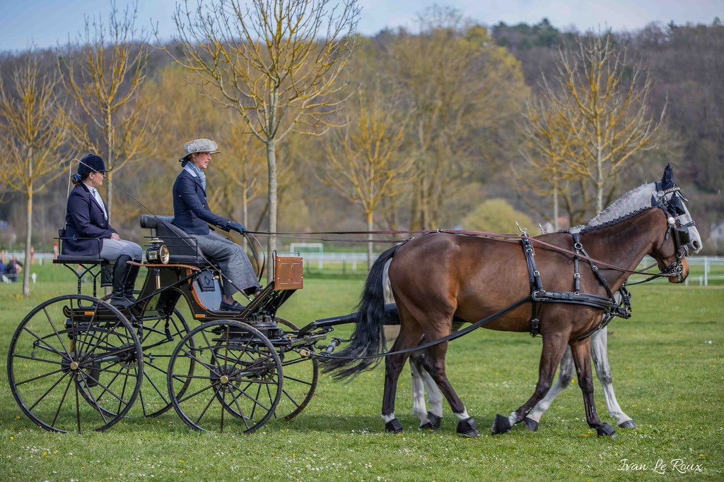 National d'Attelage d'Evreux - 2019