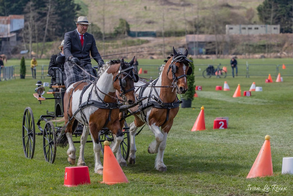 National d'Attelage d'Evreux - 2019