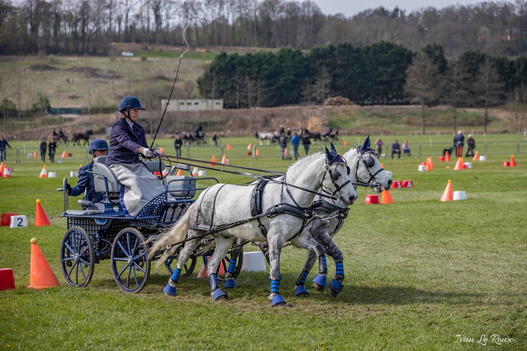 National d'Attelage d'Evreux - 2019