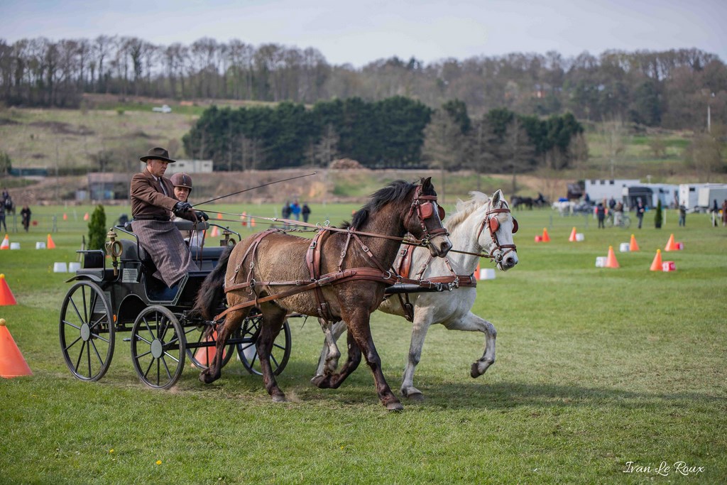 National d'Attelage d'Evreux - 2019