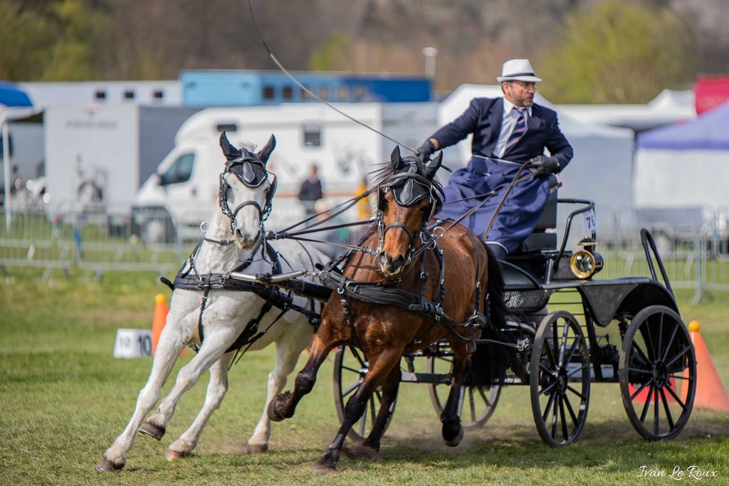 National d'Attelage d'Evreux - 2019