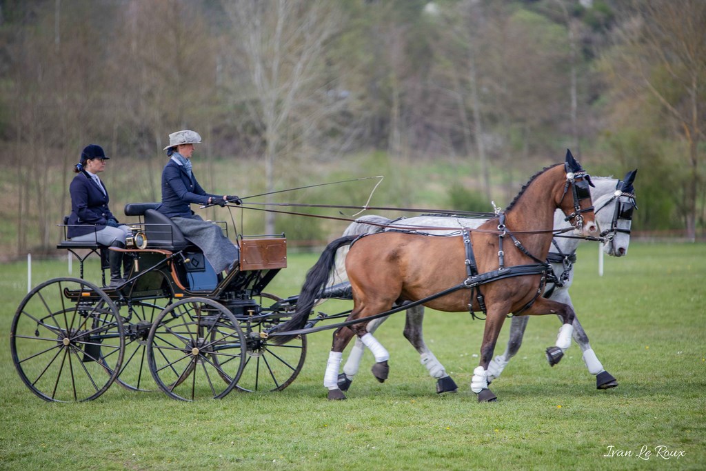 National d'Attelage d'Evreux - 2019