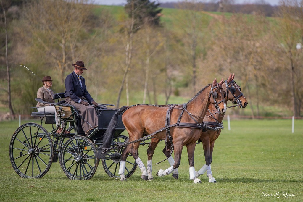 National d'Attelage d'Evreux - 2019