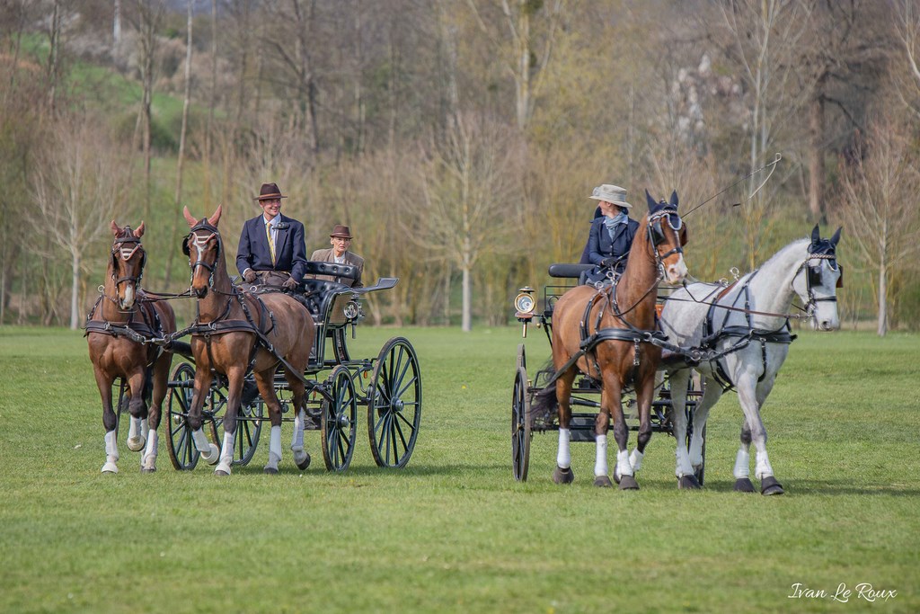 National d'Attelage d'Evreux - 2019