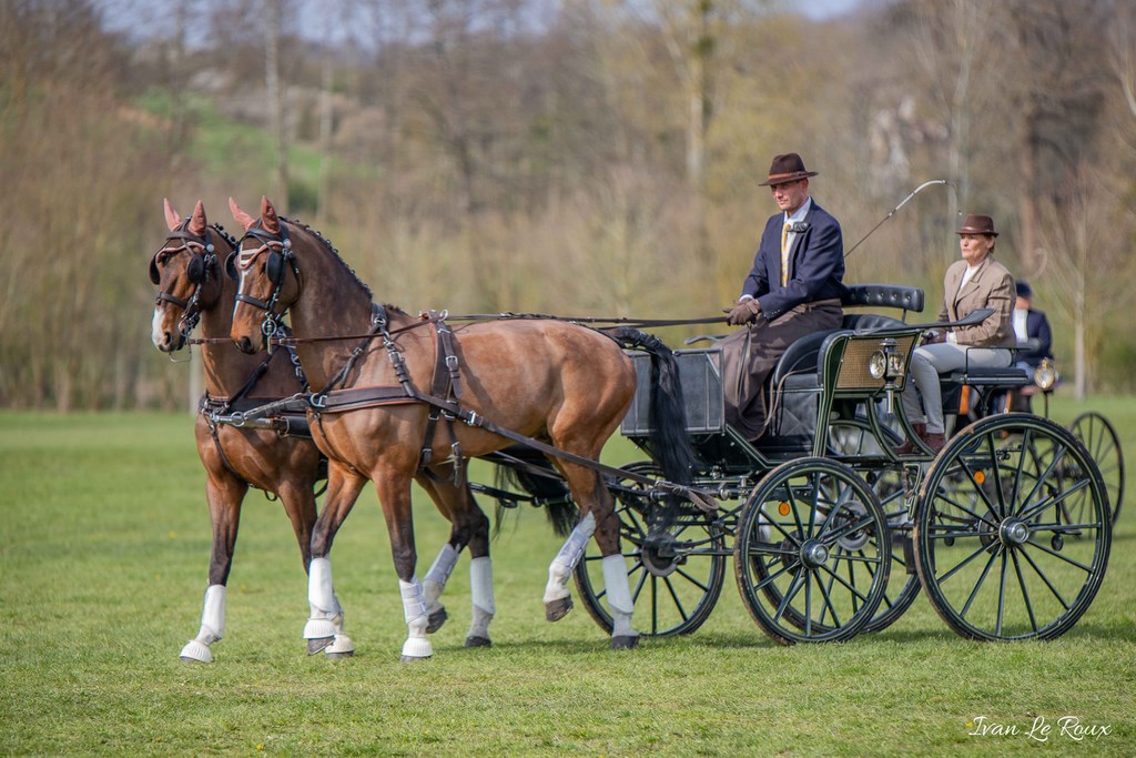 National d'Attelage d'Evreux - 2019