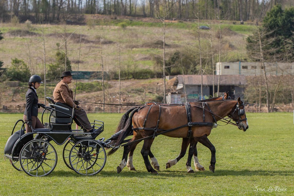 National d'Attelage d'Evreux - 2019