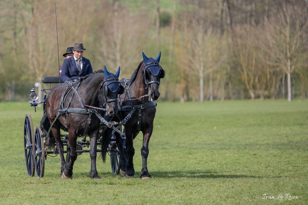 National d'Attelage d'Evreux - 2019