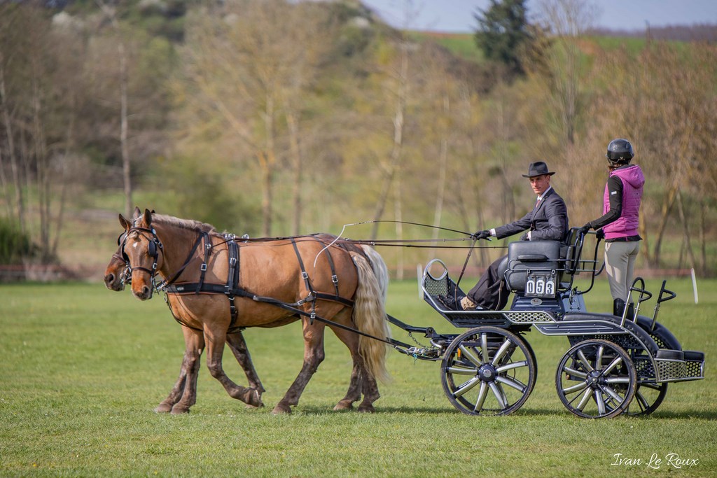 National d'Attelage d'Evreux - 2019