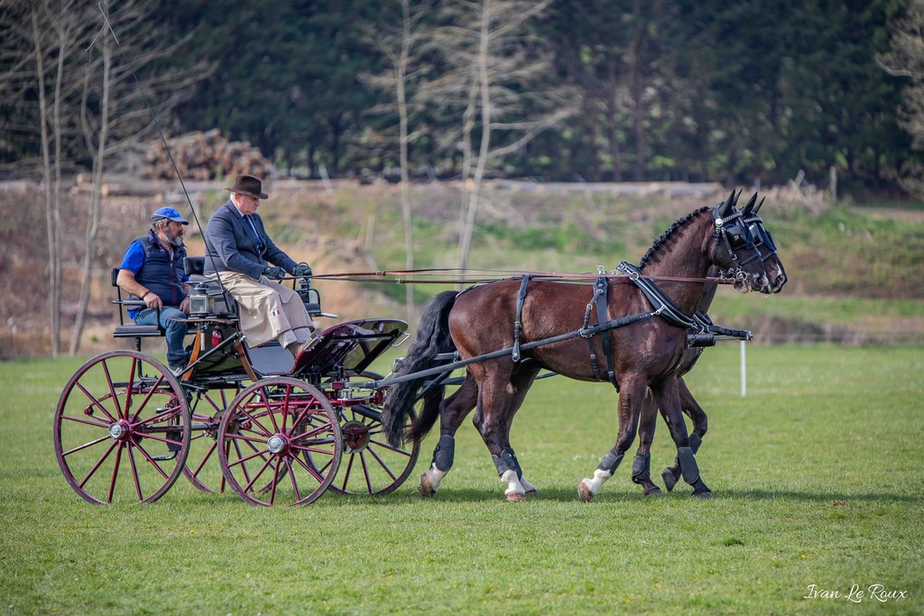 National d'Attelage d'Evreux - 2019