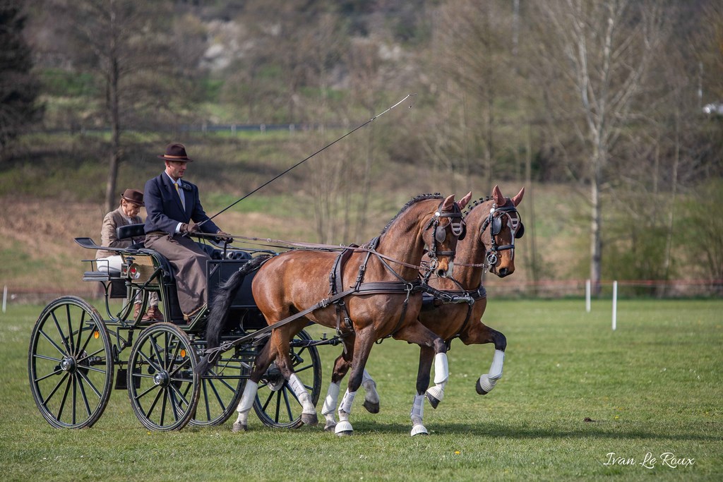 National d'Attelage d'Evreux - 2019