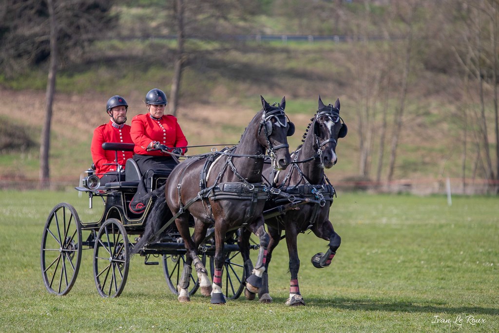 National d'Attelage d'Evreux - 2019