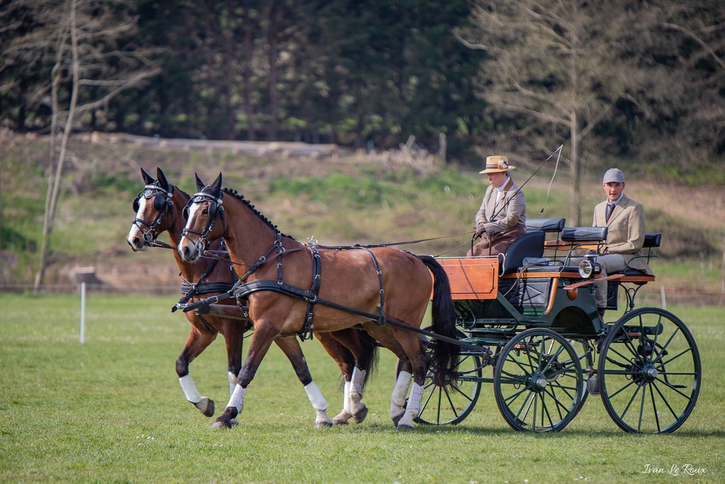 National d'Attelage d'Evreux - 2019