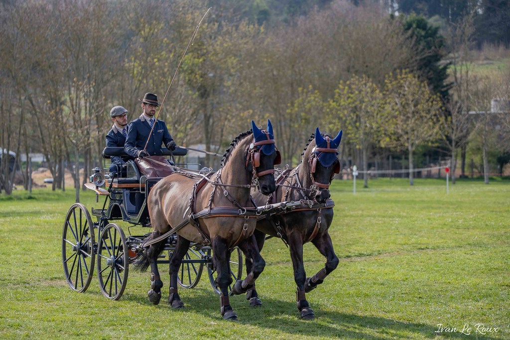 National d'Attelage d'Evreux - 2019