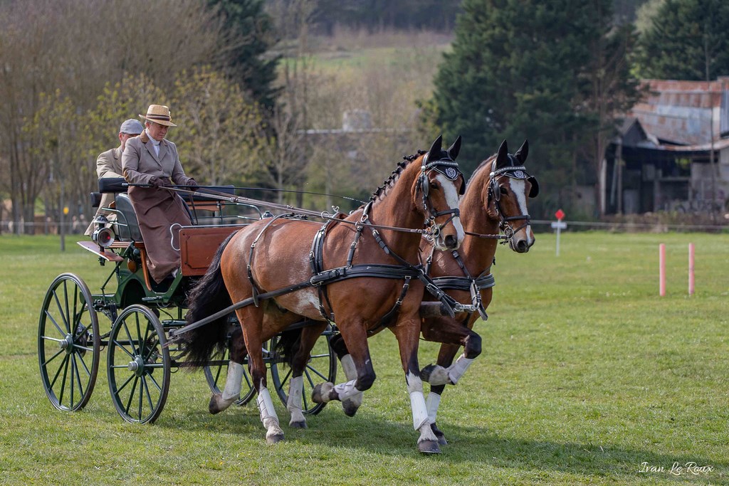 National d'Attelage d'Evreux - 2019