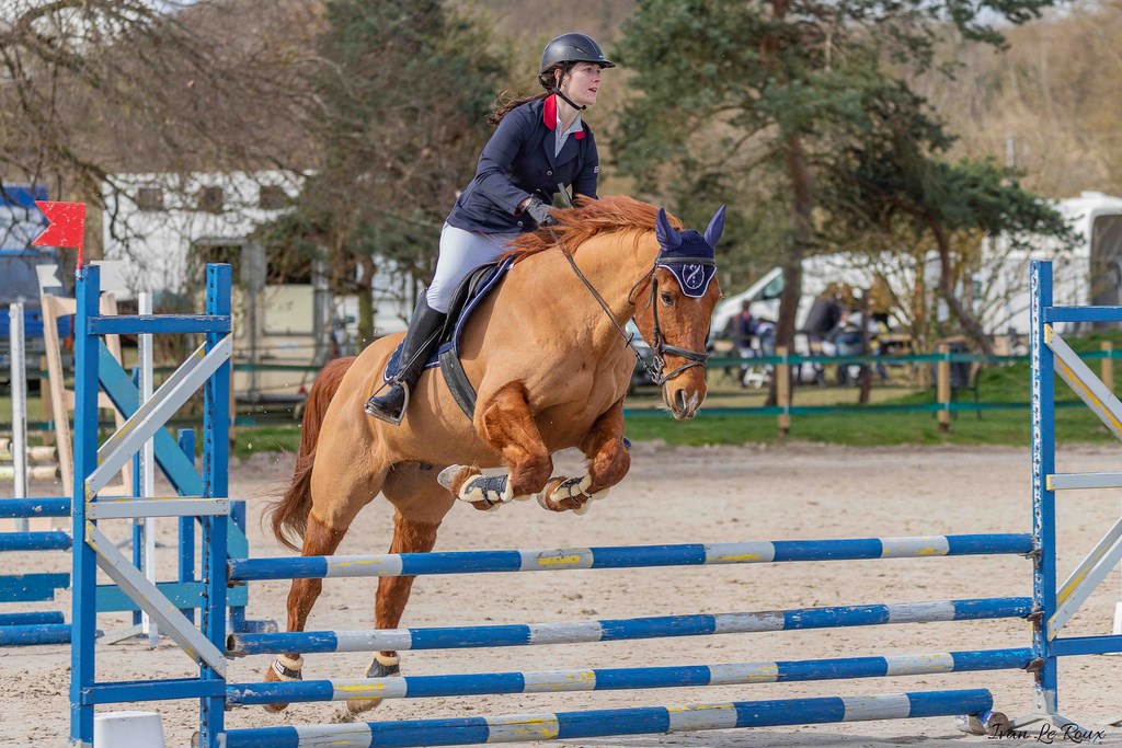 Alexandra LE ROUX CSO équitation avec Quick Boy