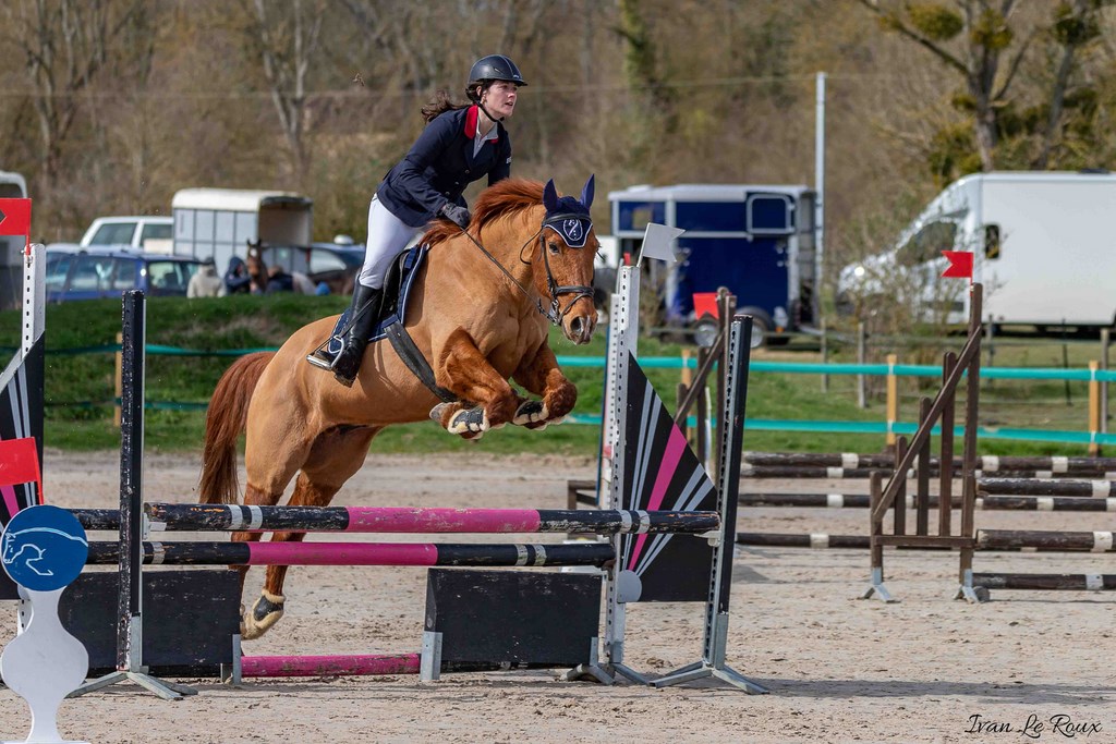 Alexandra LE ROUX CSO équitation avec Quick Boy