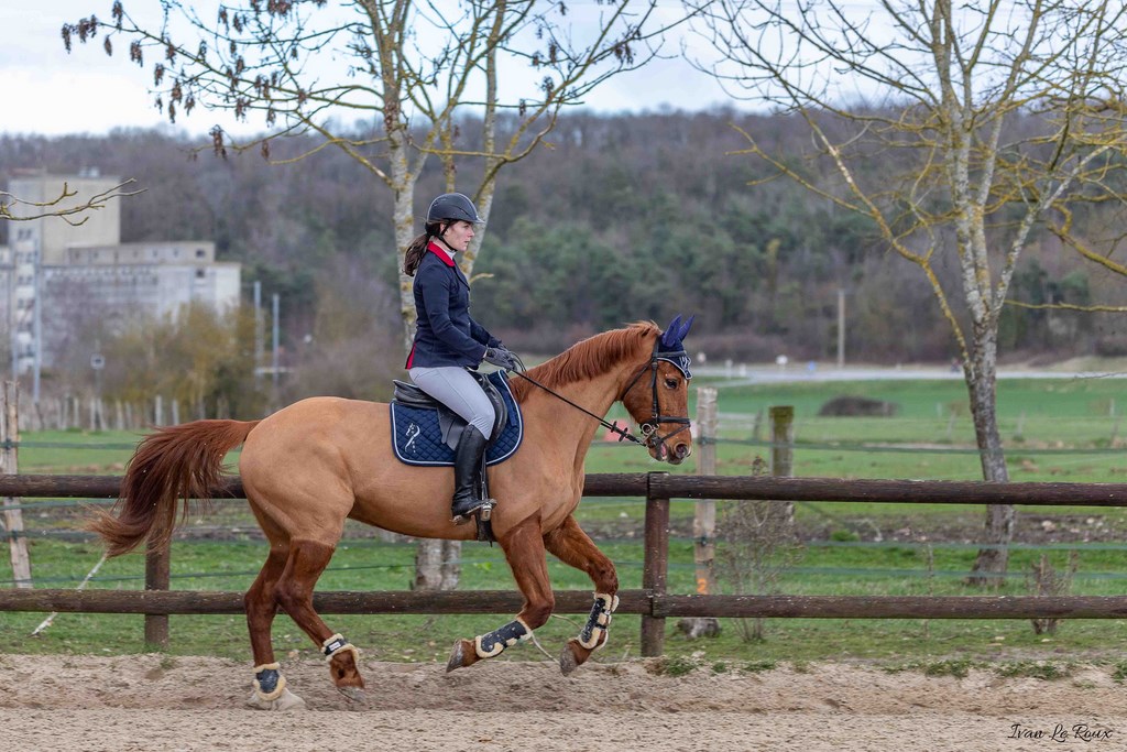 Alexandra et Quick Boy Equitation CSO