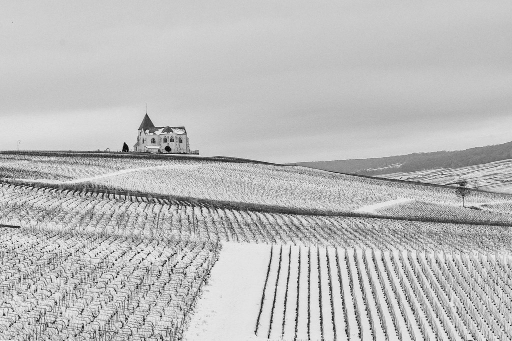 Paysage de Champagne enneigé (51 - Marne)