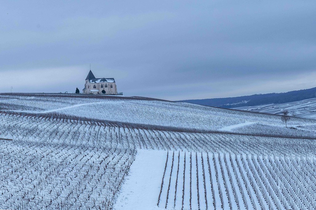 Champagne en hivers Marne (51)