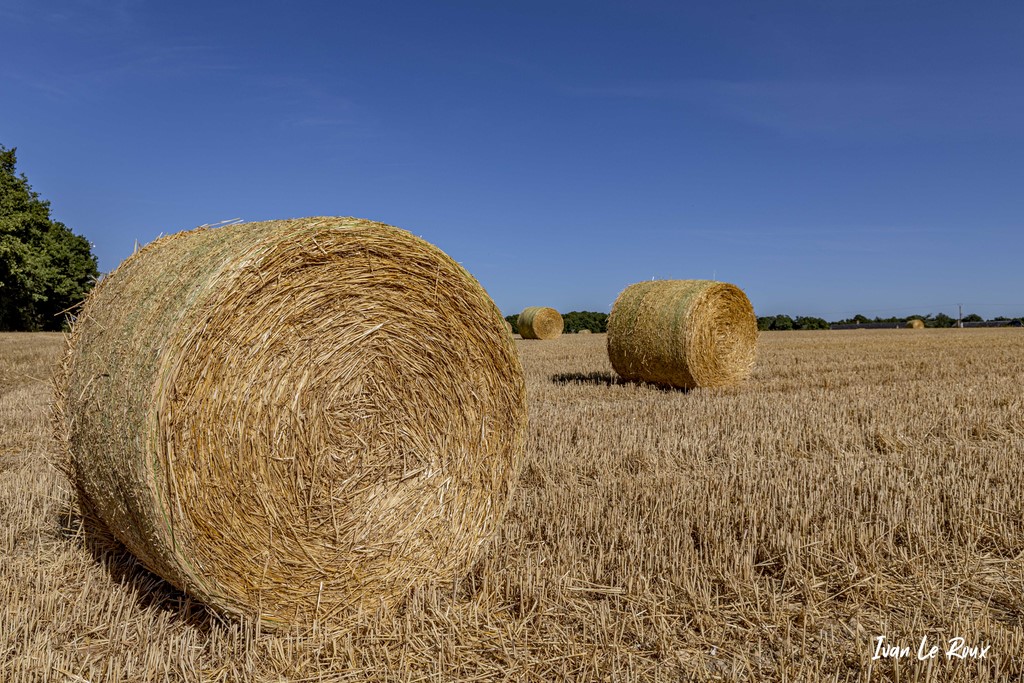 "Round Baller" de paille -  Romilly-la-Puthenaye (27) - 2020