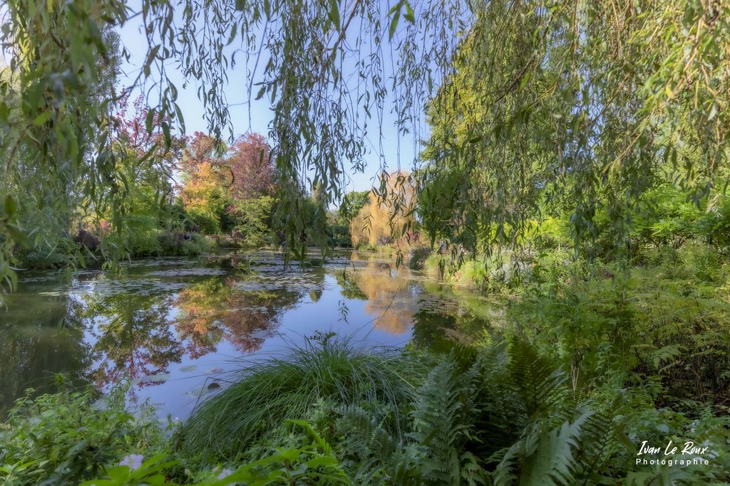 Jardin de Claude Monet - Giverny (27) - 2021