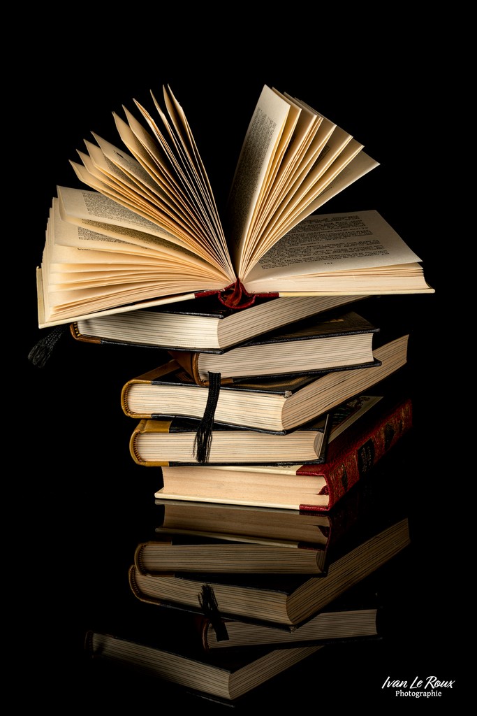 Pile de "savoir" ! - 2023 - Canon EOS 5D Mark IV, Sigma 105mm F2.8 EX DG OS HSM, 105 mm Livre Ivan Le RouxPile de "savoir" ! - 2023 - Canon EOS 5D Mark IV, Sigma 105mm F2.8 EX DG OS HSM, 105 mm Livre Ivan Le Roux ILR Photographie Normandie