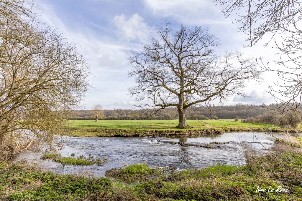 Bord de la Risle - Le Noyer-en-Ouche (27) - 2020