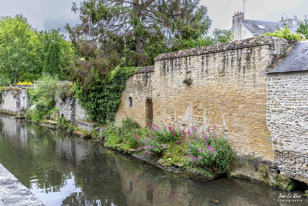 Au bord de l'Aure, Bayeux  - 2022 - Normandie Calvados