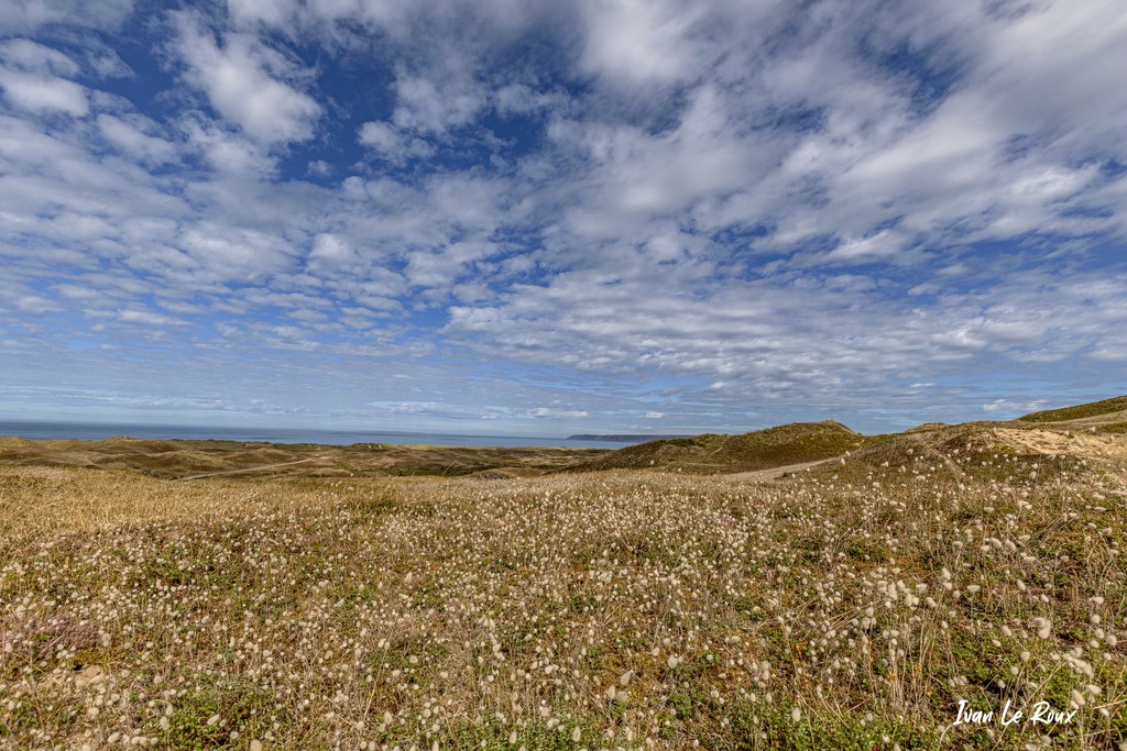 Les Dunes de Bivilles (50) - 2020