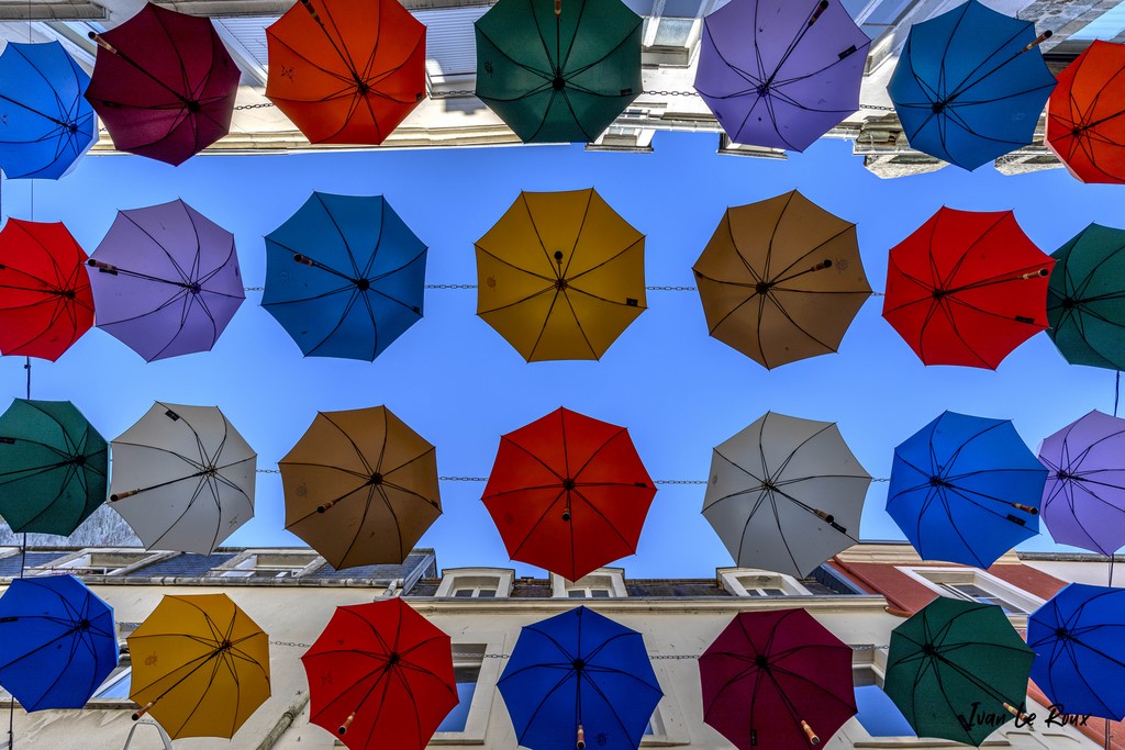 Parapluies de Cherbourg (50)