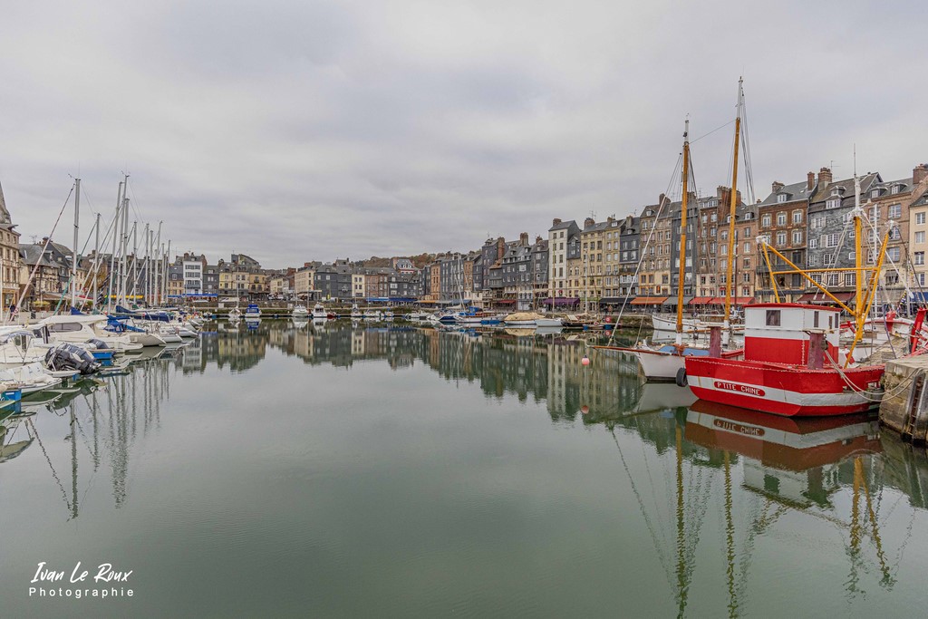 Port d'Honfleur (14)  - 2021